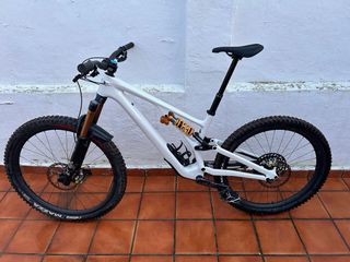 Specialized Stumpjumper Carbon 29