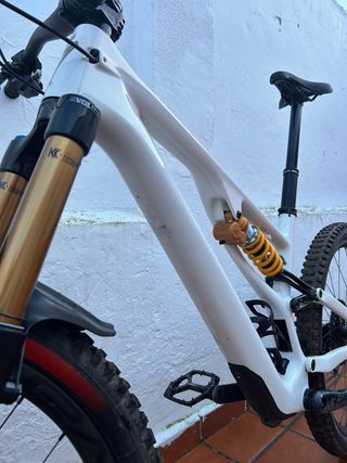 Specialized Stumpjumper Carbon 29