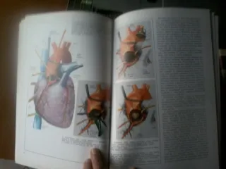 RIVISTA "I GRANDI TEMI DELLA MEDICINA"