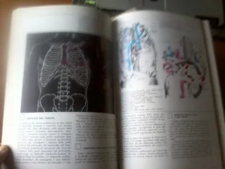 RIVISTA "I GRANDI TEMI DELLA MEDICINA"