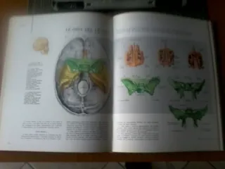 RIVISTA "I GRANDI TEMI DELLA MEDICINA"