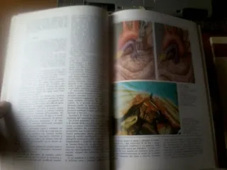 RIVISTA "I GRANDI TEMI DELLA MEDICINA"