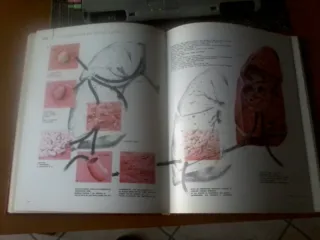 RIVISTA "I GRANDI TEMI DELLA MEDICINA"