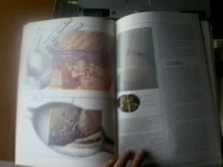 RIVISTA "I GRANDI TEMI DELLA MEDICINA"