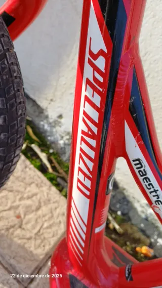 Bicicleta sin pedales Specialized