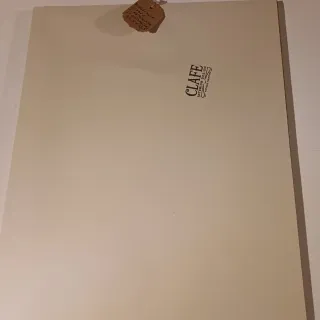 Stampa Leopoldo Metlicovitz S.Stein