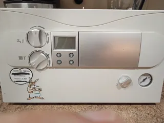 Placa Electrónica Vaillant VMI ES 282-7 R3 Estanca