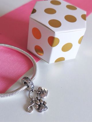 CHARM HUELLA PERRO GATO COLGANTE PANDORA CAJA