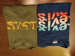 Lote Ropa Niño Talla 12