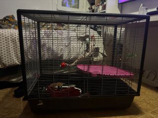 Jaula para roedores Savic Zeno 2