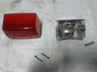 Tulipa Derbi Variant Roja