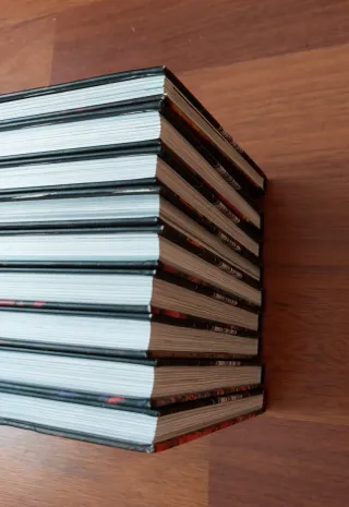 Colección completa Integrales Predicador.