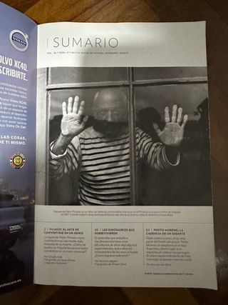 National Geographic Genius Picasso