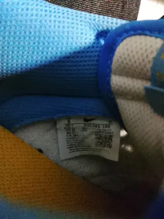 Nike Dunk Low Azul y Blanco