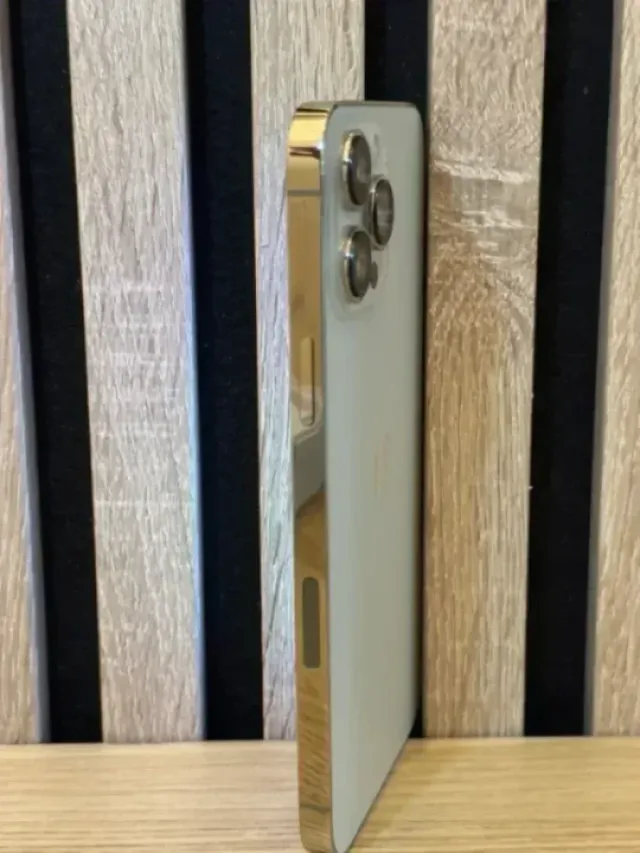 iPhone 13 Pro Max 256 GB