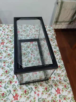 Pecera de vidrio con tapa