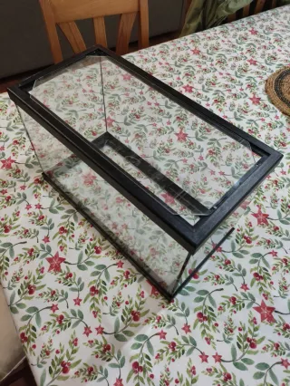 Pecera de vidrio con tapa