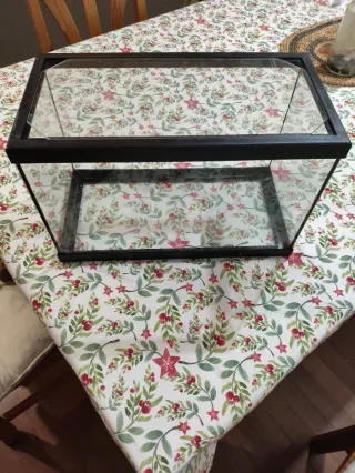 Pecera de vidrio con tapa