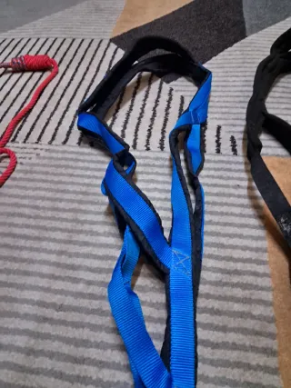 Arnés Bikejoring/Canicross para perro