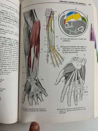 Atlas de Anatomía.Con correlación clínica: Apar...