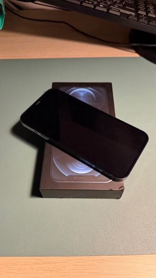 iPhone 12 Pro Max 256GB