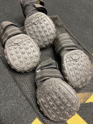 Botas para perro impermeable y transpirables.