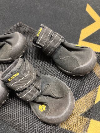 Botas para perro impermeable y transpirables.