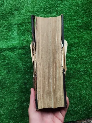 Larousse Médical Illustré – Enciclopédia Médica An