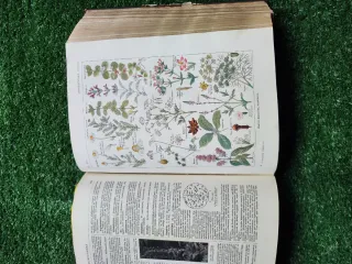 Larousse Médical Illustré – Enciclopédia Médica An