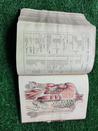 Larousse Médical Illustré – Enciclopédia Médica An