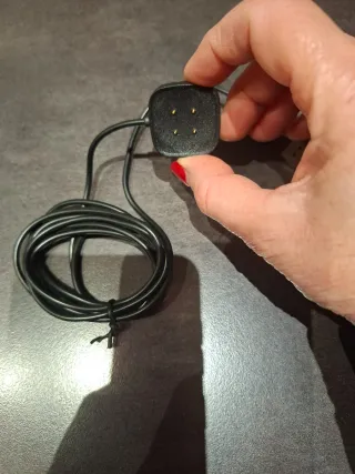 Caricatore per smartwatch