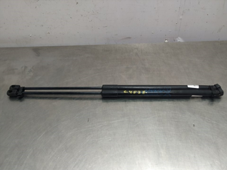 AMORTIGUADORES MALETERO / PORTON FORD FIESTA (CE1