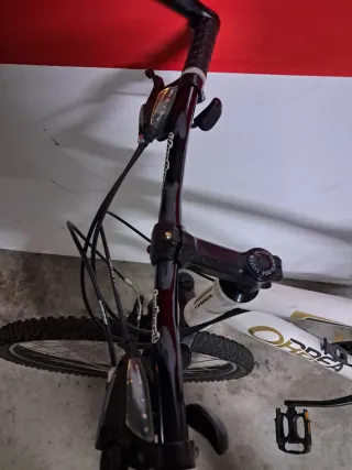 Bicicleta Orbea MTB Blanca