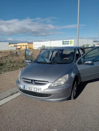 Peugeot 307 2004