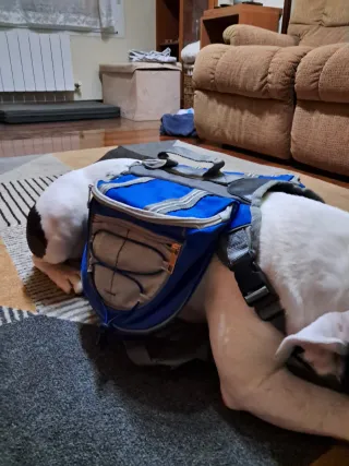 Mochila/Arnés para Perro Azul y Gris
