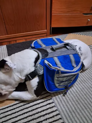 Mochila/Arnés para Perro Azul y Gris