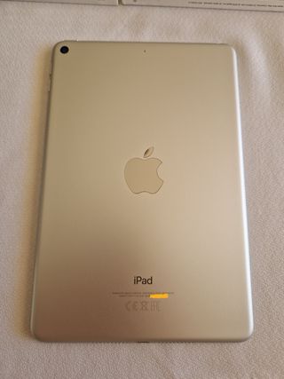 iPad Mini 5ª Gen 2019 Plata