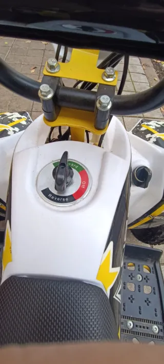 Quad Eléctrico 1000W