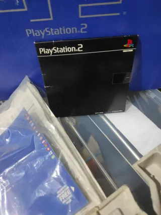 Caja y accesorios PS2 Fat