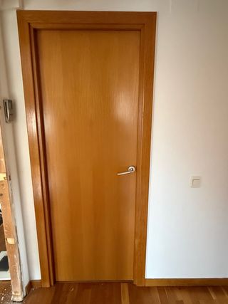 Puertas macizas (4ciegas: 110 todas)