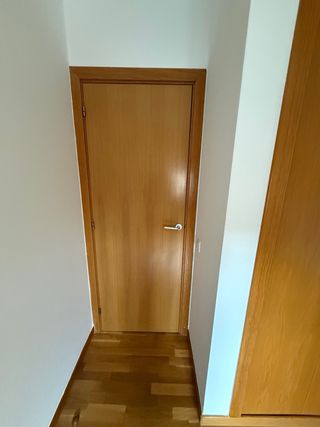 Puertas macizas (4ciegas: 110 todas)