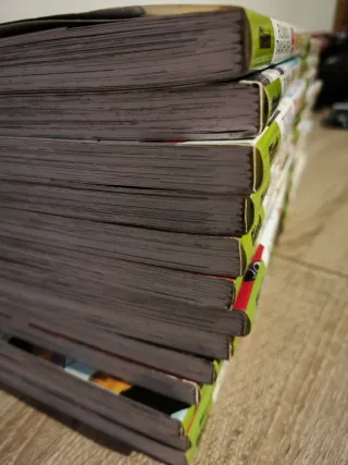 Colección de mangas de InuYasha, del tomo 1 al 50.