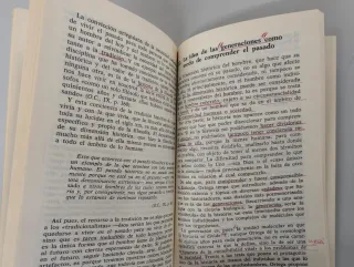 Ortega y la cultura española