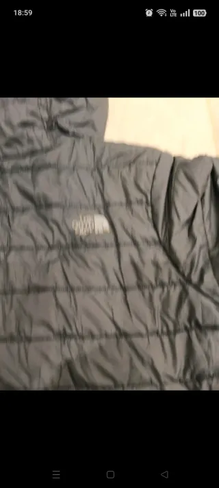 Giubbino The North Face Grigio
