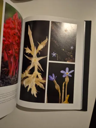 La red oculta de la vida (edición Ilustrada)