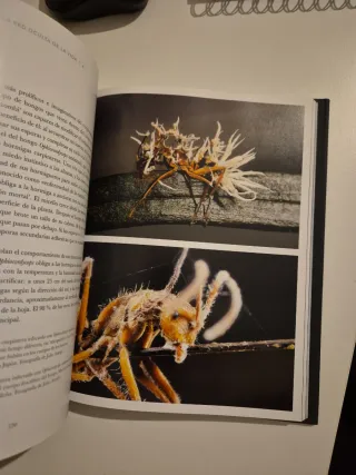 La red oculta de la vida (edición Ilustrada)