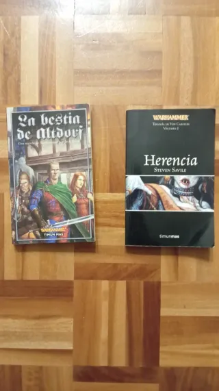 Lote de Libros Warhammer