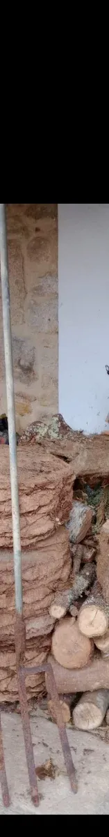 Laya larga antigua de hierro