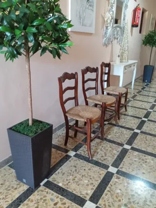 3 Sillas Antiguas Enea Madera