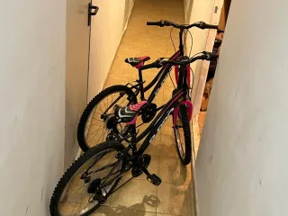 Bicicletas Infantiles B-Pro